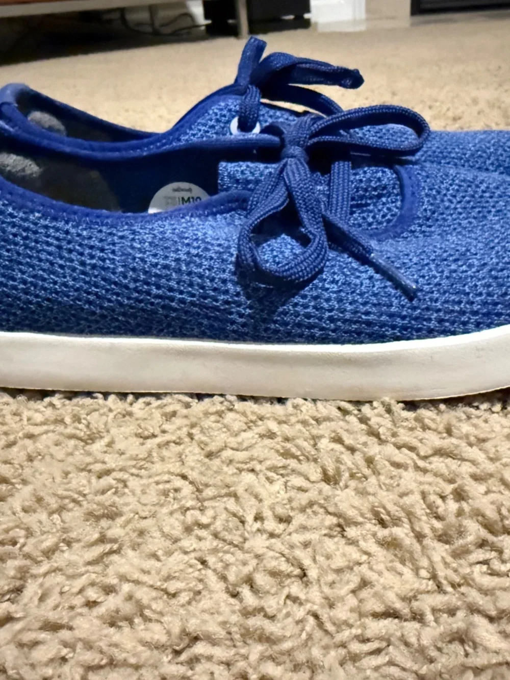 Allbirds Tree Skippers (Men size 10)